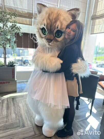 Котик Чарли и кошечка Молли, ростовые куклы