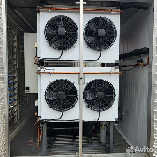 Аренда камеры шоковой заморозки