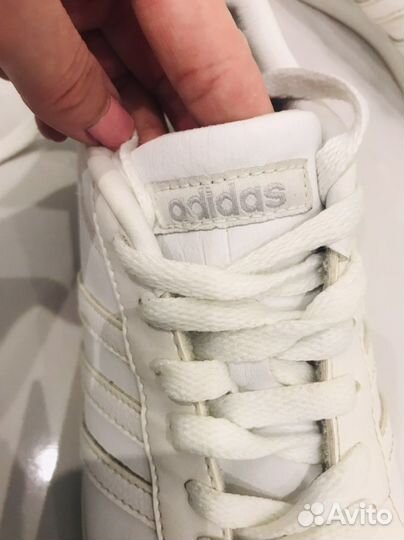 Кеды adidas