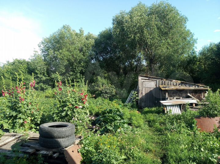 Дом 24 м² на участке 19,9 сот.