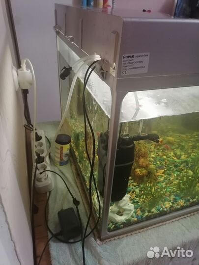 Аквариум 100л