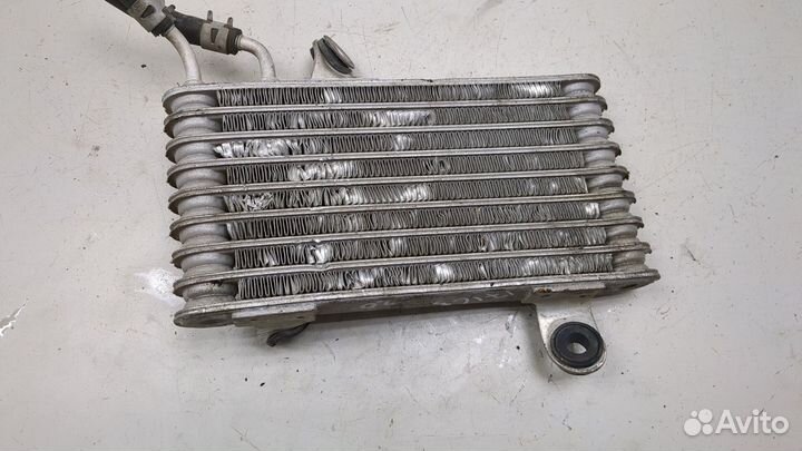 Радиатор масляный Infiniti QX56, 2006
