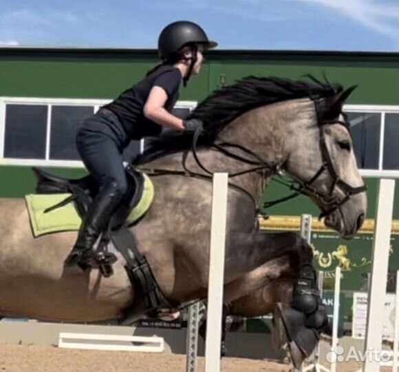 Вальтрап atc anky конкурный