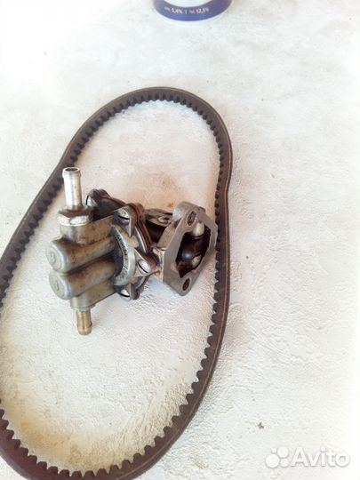 Безноносос