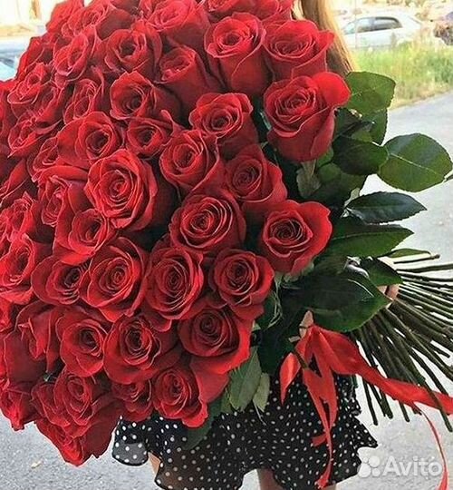 101 роза цветы букеты доставка 25 51 101 роза