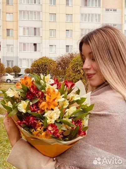 Альстромерия