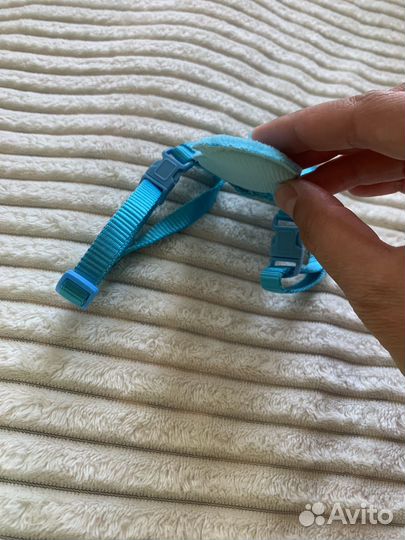 Шлейка для котенка