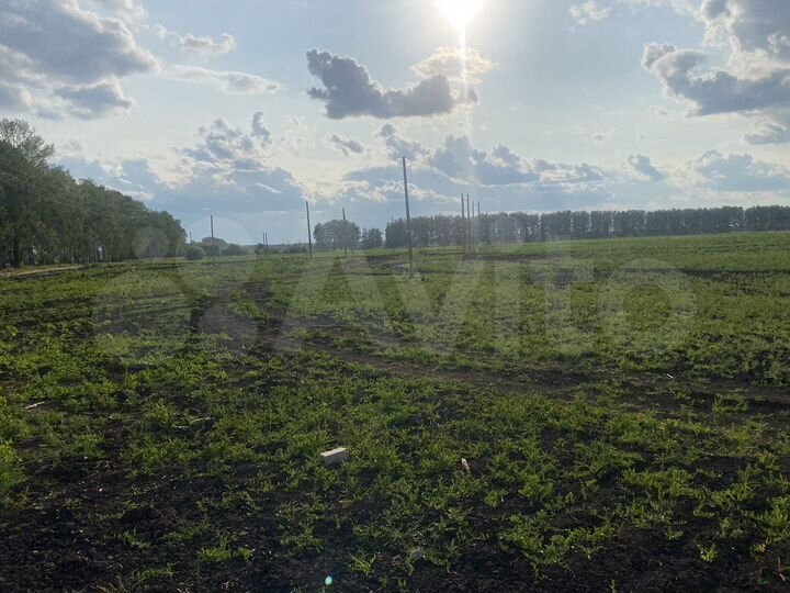 Участок 10 сот. (ИЖС)