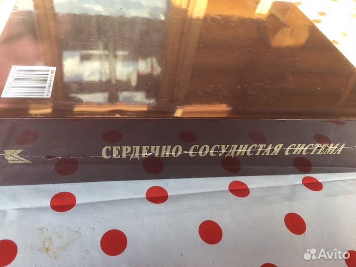 Внутренние болезни Сердечно-сосудистая система