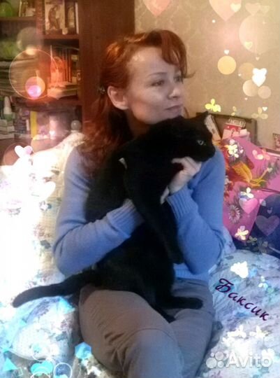 Собеседник на час