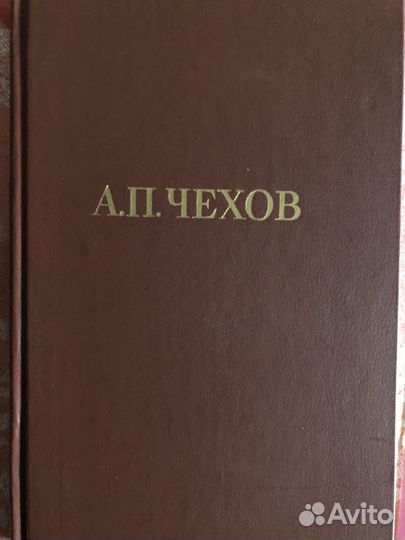 Ф.М.Достоевский,А.П.Чехов, И.Бунин, Н.Лесков