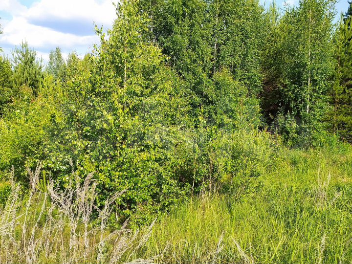 Участок 14,1 сот. (ИЖС)