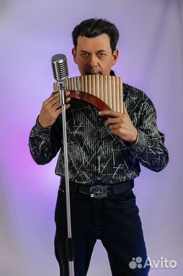 Музыкант на мероприятие Ведущая на праздник