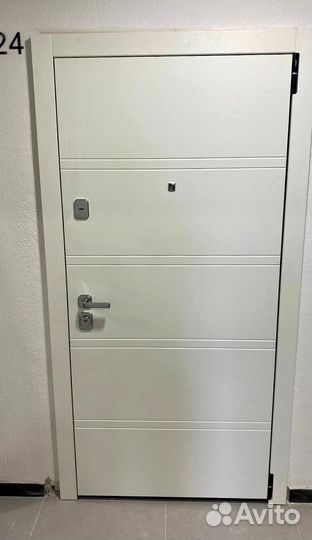 Двери входные