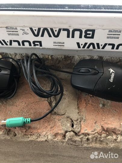 Компьютерная мышь