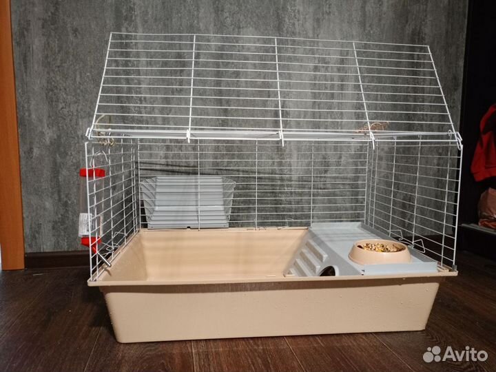 Продается кролик