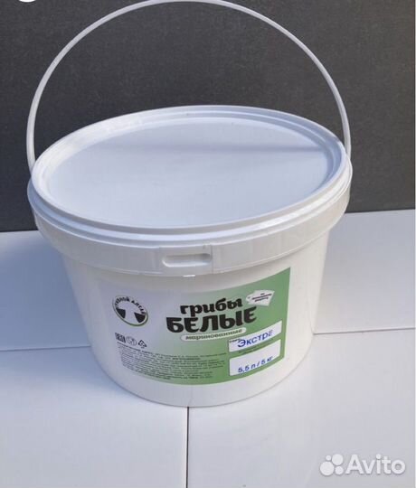 Маринованный белый гриб