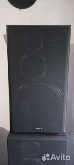 Diatone ds 77hr/503