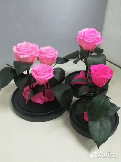 Роза в колбе