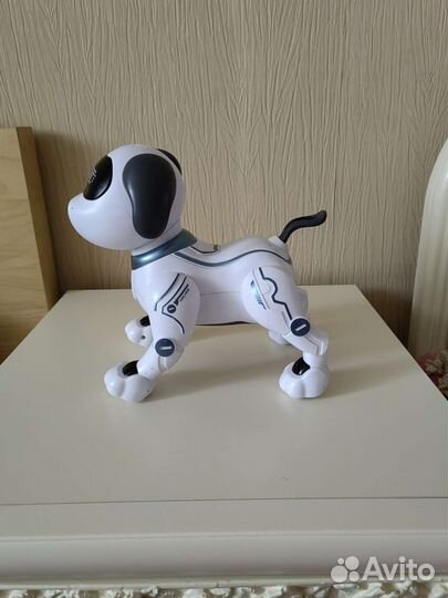 Собака робот