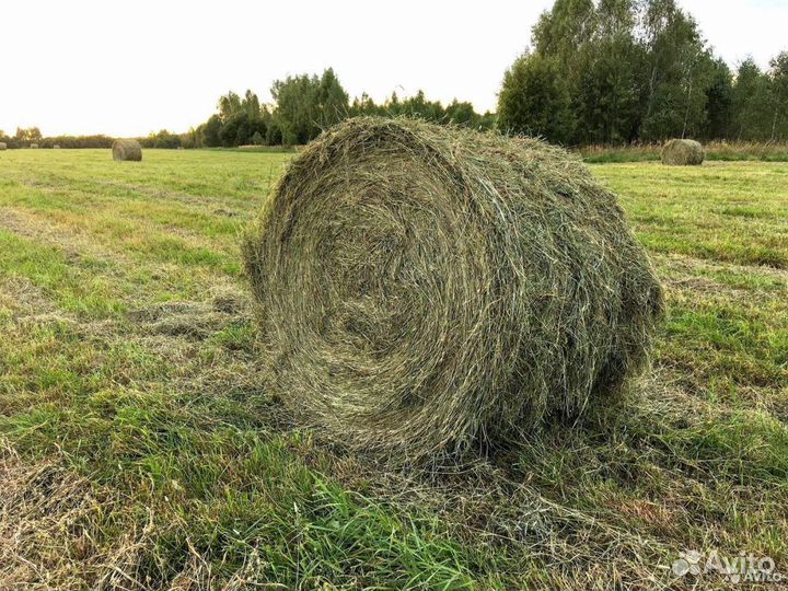 Сено, солома в рулонах