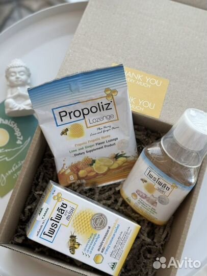 Box в холода Propoliz