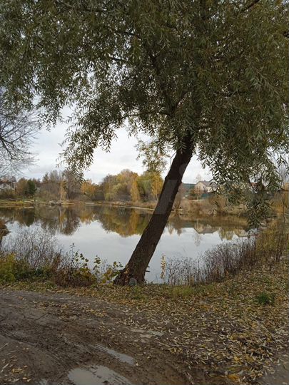 Участок 28 сот. (ИЖС)