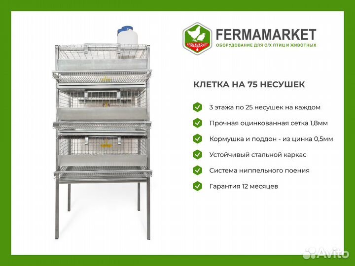 Клетки для перепелов Владимир