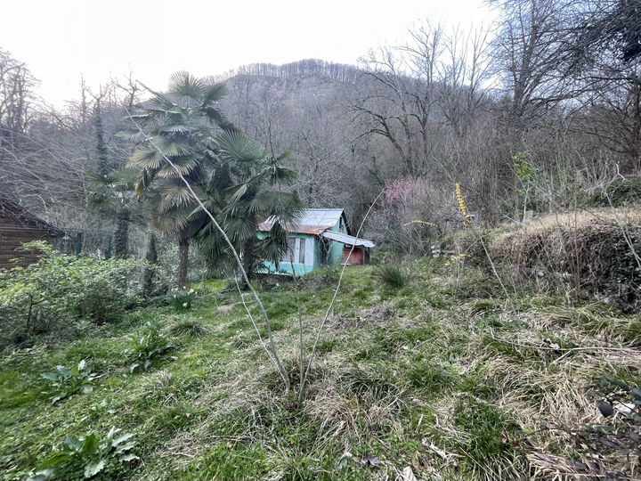 Участок 7,5 сот. (СНТ, ДНП)