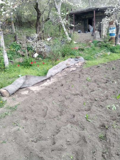 Участок 6 сот. (СНТ, ДНП)