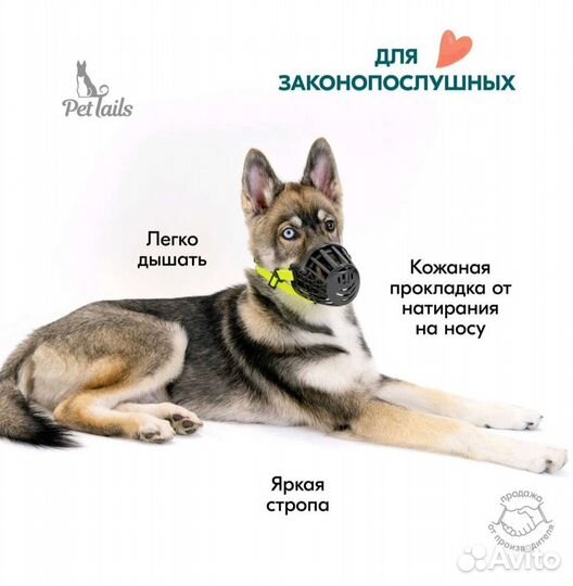 Намордник для собак