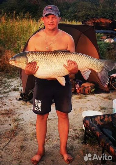 Организация рыбалки