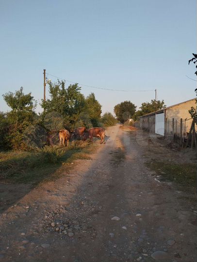 Участок 2000 га (СНТ, ДНП)