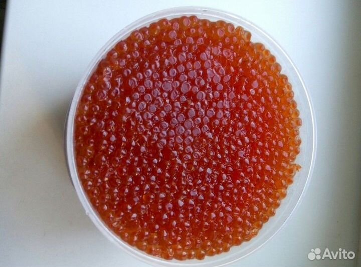 Красная Икра в банках по 500г парт V2024-R-9769