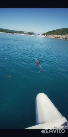 Морские прогулки, Аренда катера, Отдых в Анапе