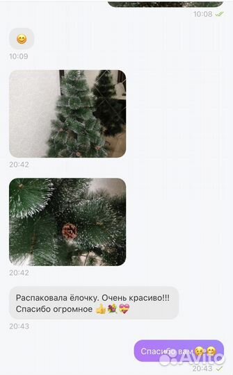 Ёлка с заснеженными кончиками