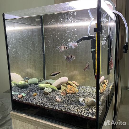Аквариум