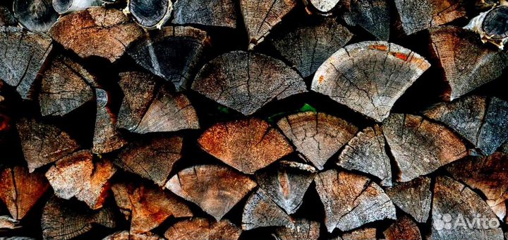 Дрова зимней заготовки