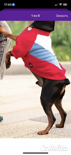 Свитшот для собачки