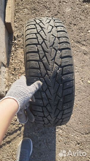 Nordman 7 195/65 R16