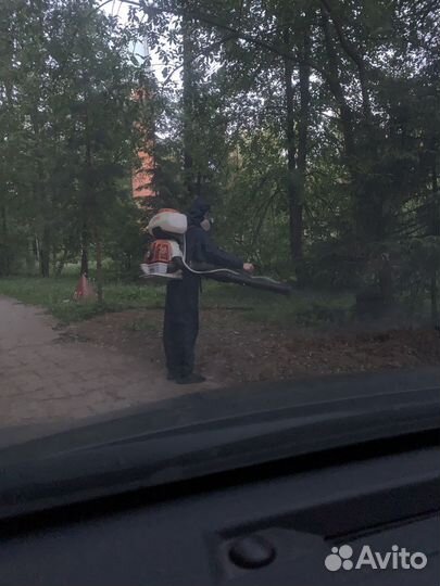 Обработка от клопов тараканов клещей