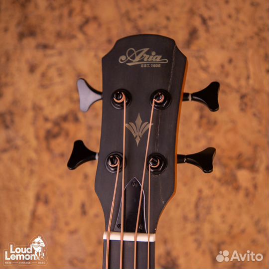 Aria FEB-F2/FL Stained Brown 2020's China