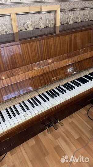 Пианино Petrof