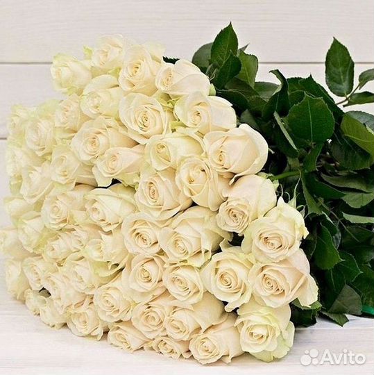 Высокие розы 150 160 170 180 190см доставка Москва