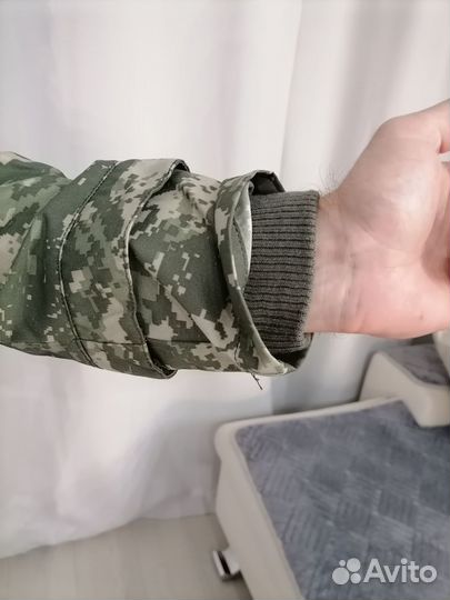 Энцефалитка