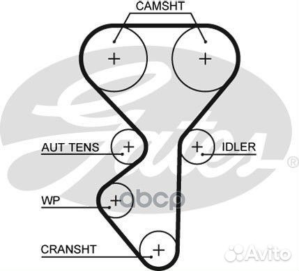 137x22 Ремень грм 5631XS Gates