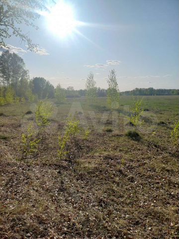 Участок 83 сот. (ИЖС)