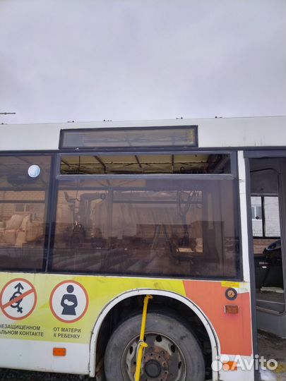 Стекла боковые автобус маз 103