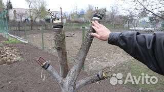 Обрезка деревьев, кустарников