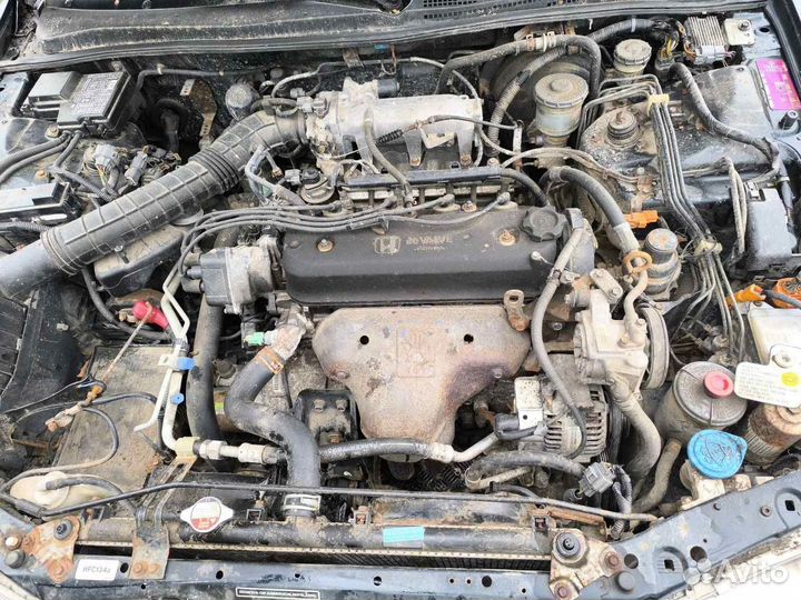 Honda Accord 5 93-98 2.0 в разбор